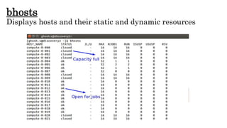 bhosts
Displays hosts and their static and dynamic resources
 