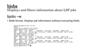 bjobs
Displays and filters information about LSF jobs
bjobs –w
• Wide format. Displays job information without truncating fields.
 