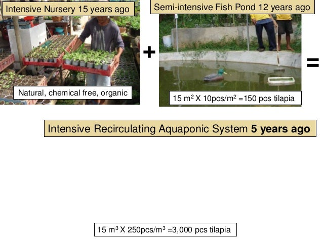 a1 aquaponics - intro and design