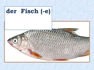 das Milchprodukt (-e) 
 