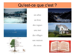 Qu'est-ce que c'est ?
un arbre
un livre
des vagues
une mer
des villages
une maison
des mots

 