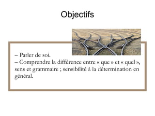 Objectifs

– Parler de soi.
– Comprendre la différence entre « que » et « quel »,
sens et grammaire ; sensibilité à la détermination en
général.

 