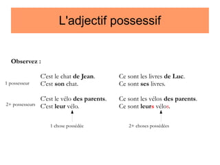 L'adjectif possessif
Observez :
1 possesseur

2+ possesseurs

C'est le chat de Jean.
C'est son chat.

Ce sont les livres de Luc.
Ce sont ses livres.

C'est le vélo des parents.
C'est leur vélo.

Ce sont les vélos des parents.
Ce sont leurs vélos.

1 chose possédée

2+ choses possédées

 