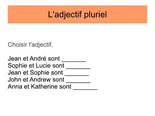 L'adjectif pluriel

Choisir l'adjectif.
Jean et André sont _______
Sophie et Lucie sont _______
Jean et Sophie sont _______
John et Andrew sont _______
Anna et Katherine sont _______

 