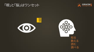 「眼」と「脳」はワンセット
知る
数える
読む
調べる
 