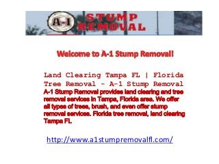 Land Clearing Tampa FL | Florida 
Tree Removal - A-1 Stump Removal 
A-1 Stump Removal provides land clearing and tree 
removal services in Tampa, Florida area. We offer 
all types of trees, brush, and even offer stump 
removal services. Florida tree removal, land clearing 
Tampa FL 
http://www.a1stumpremovalfl.com/ 
 