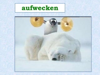 aufwecken 
 