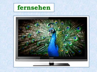 fernsehen 
 