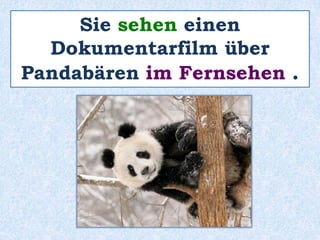 Sie sehen einen 
Dokumentarfilm über 
Pandabären im Fernsehen . 
 