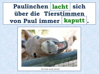 Paulinchen ______ lacht 
sich 
über die Tierstimmen 
von Paul immer _______ kaputt 
. 
 