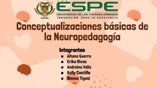 Conceptualizaciones básicas de
la Neuropedagogía
Integrantes
● Aitana Guerra
● Erika Rivas
● Andreina Veliz
● Kelly Castillo
● Blanca Tigasi
 