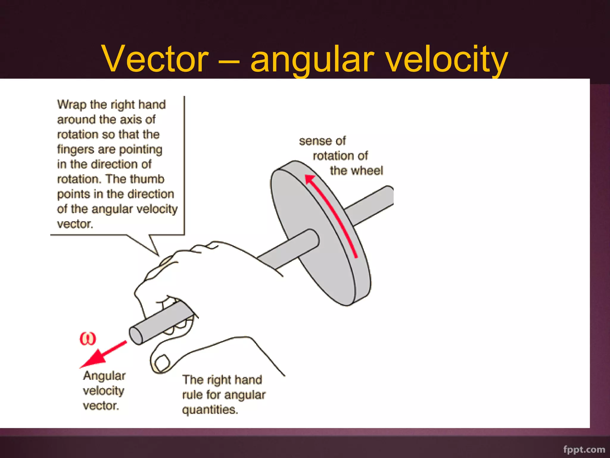 Vector – angular velocity
 