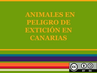 ANIMALES EN
PELIGRO DE
EXTICIÓN EN
 CANARIAS
 