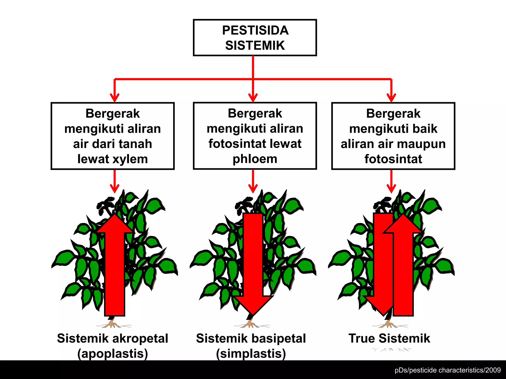A2 mobilitas pestisida | PDF