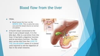 Blood flow from the liver
 FROM:
 Blood leaves the liver via the
HEPATIC VEIN. This re-joins the vena
cava and the blood returns to normal
circulation
 A Fourth vessel connected to the
liver is not a blood vessel. It is the
bile duct. Bile is a secretion from the
liver. It has both a digestive function
and an excretory function. The bile
duct carries bile from the LIVER TO
THE GALLBLADDER where it is stored
until required to aid the digestion of
fats in the small intestine.
5/17/2015 12
 