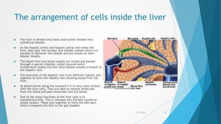 The arrangement of cells inside the liver
 The liver is divided into lobes and further divided into
cylindrical lobules.
 As the hepatic artery and hepatic portal vein enter the
liver, they split into smaller and smaller vessels which run
parallel or between the lobules and are known as inter-
lobular vessels.
 The blood from two blood vessels are mixed and passed
through a special chamber called sinusoid which
furthermore empty into the intra-lobular vessels a branch of
the hepatic vein.
 The branches of the hepatic vein from different lobules join
together to form the hepatic vein draining blood from the
liver.
 As blood moves along the sinusoid it is in very close contact
with the liver cells. They are able to remove molecules
from the blood and pass molecules into the blood.
 One of the many functions of the liver cells is to
manufacture bile. This is released into the bile canaliculi
(small canals). These join together to form the bile duct,
which transports the bile to the gall bladder.
5/17/2015 13
 