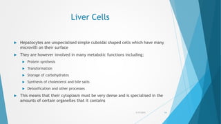 Liver Cells
 Hepatocytes are unspecialised simple cuboidal shaped cells which have many
microvilli on their surface
 They are however involved in many metabolic functions including;
 Protein synthesis
 Transformation
 Storage of carbohydrates
 Synthesis of cholesterol and bile salts
 Detoxification and other processes
 This means that their cytoplasm must be very dense and is specialised in the
amounts of certain organelles that it contains
5/17/2015 14
 