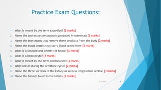Practice Exam Questions:
1. What is meant by the term excretion? [2 marks]
2. Name the two excretory products produced in mammals [2 marks]
3. Name the two organs that remove these products from the body [2 marks]
4. Name the blood vessels that carry blood to the liver [2 marks]
5. What is a sinusoid and where is it found? [2 marks]
6. What is a hepatocyte? [1 marks]
7. What is meant by the term deamination? [2 marks]
8. What occurs during the ornithine cycle? [2 marks]
9. Name the three sections of the kidney as seen in longitudinal section [3 marks]
10. Name the tubules found in the kidney [2 marks]
5/17/2015 30
 