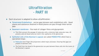 Ultrafiltration
- PART III
 Each structure is adapted to allow ultrafiltration:
 Fenestrated Endothelium – narrow gaps between each endothelium cells – blood
plasma and substances dissolved in blood plasma can pass through these narrow
gaps
 Basement membrane – fine mesh of collagen fibres and glycoprotein
 This filter prevent the passage of molecules with a relatively high molecular mass. All
proteins (and all blood cells) are held in the capillaries of the glomerulus
 Epithelial cells of the Bowman’s capsule are called PODOCYTES which have a
specialized shape.
 Podocytes have finger-like projections called major processes. Ensuring that gaps are
present in between cells.
 The fluid from the blood in the glomerulus can pass between these cells into the lumen of
the Bowman’s capsule
5/17/2015 36
 