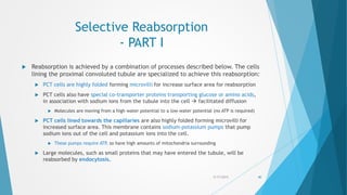 Selective Reabsorption
- PART I
 Reabsorption is achieved by a combination of processes described below. The cells
lining the proximal convoluted tubule are specialized to achieve this reabsorption:
 PCT cells are highly folded forming microvilli for increase surface area for reabsorption
 PCT cells also have special co-transporter proteins transporting glucose or amino acids,
in association with sodium ions from the tubule into the cell  facilitated diffusion
 Molecules are moving from a high water potential to a low water potential (no ATP is required)
 PCT cells lined towards the capillaries are also highly folded forming microvilli for
increased surface area. This membrane contains sodium-potassium pumps that pump
sodium ions out of the cell and potassium ions into the cell.
 These pumps require ATP, so have high amounts of mitochondria surrounding
 Large molecules, such as small proteins that may have entered the tubule, will be
reabsorbed by endocytosis.
5/17/2015 40
 