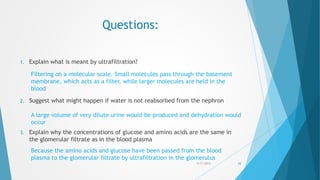 Questions:
1. Explain what is meant by ultrafiltration?
2. Suggest what might happen if water is not reabsorbed from the nephron
3. Explain why the concentrations of glucose and amino acids are the same in
the glomerular filtrate as in the blood plasma
5/17/2015 43
Filtering on a molecular scale. Small molecules pass through the basement
membrane, which acts as a filter, while larger molecules are held in the
blood
A large volume of very dilute urine would be produced and dehydration would
occur
Because the amino acids and glucose have been passed from the blood
plasma to the glomerular filtrate by ultrafiltration in the glomerulus
 