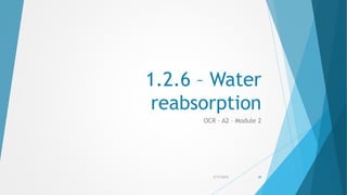 1.2.6 – Water
reabsorption
OCR – A2 – Module 2
5/17/2015 44
 