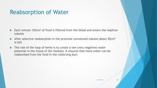 Reabsorption of Water
 Each minute 125cm3 of fluid is filtered from the blood and enters the nephron
tubules
 After selective reabsorption in the proximal convoluted tubules about 45cm3
is left
 The role of the loop of henle is to create a low (very negative) water
potential in the tissue of the medulla  ensures that more water can be
reabsorbed from the fluid in the collecting duct
5/17/2015 45
 