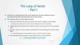 The Loop of Henle
- Part I
 Consists of a descending limb which descends into the medulla and an
ascending limb that ascends back out to the cortex.
 The overall effect of the loop of henle:
 Filter the fluid entering the descending limb which is slightly concentrated.
 Osmotically removing water from the descending limb into the Vasa Recta
 Water potential decreases and is highly concentrated as you enter the ascending
limb
 Here Na+ and Cl- ions are actively removed from the ascending limb into the Vasa
Recta
 The ascending limb is impermeable to water, so cannot leave the tubule.
 The ascending limb increases in water potential as it enters the DCT
 = COUNTERCURRENT MULTIPLIER
5/17/2015 46
 