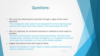 Questions:
1. Why must the collecting duct pass back through a region of low water
potential?
1. Why is it important for terrestrial mammals to reabsorb as much water as
possible?
2. Suggest why beavers have short loops of Henle
5/17/2015 51
This arrangement allow water to be reabsorbed from the collecting ducts
back into the tissue fluid of the medulla. This concentrates the urine.
Terrestrial mammals gain water by eating and drinking. They lose water
through sweat, exhaling, excretion and egestion. It is important not to lose
more water than necessary, as it may not be readily available.
Beavers live beside or in water. Water is readily available and they do not
need to conserve it as much.
 