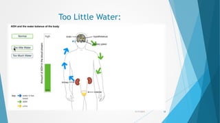 Too Little Water:
5/17/2015 58
 