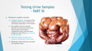 Testing Urine Samples
- PART III
 Testing for anabolic steroids:
 Anabolic Steroids – increase protein
synthesis within cells  build-up of
cell tissues especially in the muscles
 Non-medical uses for anabolic
steroids are controversial because
they can give advantage in
competitive sports and they have
dangerous side effects (use in sports
is now banned)
 Half-life of about 16 hours and
remain in the blood for many days.
 Relatively small molecules and enter
the nephron easily
5/17/2015 75
 