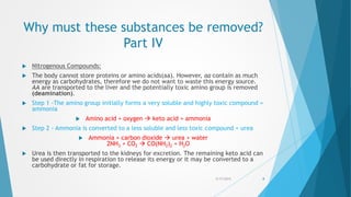 Why must these substances be removed?
Part IV
 Nitrogenous Compounds:
 The body cannot store proteins or amino acids(aa). However, aa contain as much
energy as carbohydrates, therefore we do not want to waste this energy source.
AA are transported to the liver and the potentially toxic amino group is removed
(deamination).
 Step 1 -The amino group initially forms a very soluble and highly toxic compound =
ammonia
 Amino acid + oxygen  keto acid + ammonia
 Step 2 - Ammonia is converted to a less soluble and less toxic compound = urea
 Ammonia + carbon dioxide  urea + water
2NH3 + CO2  CO(NH2)2 + H2O
 Urea is then transported to the kidneys for excretion. The remaining keto acid can
be used directly in respiration to release its energy or it may be converted to a
carbohydrate or fat for storage.
5/17/2015 8
 