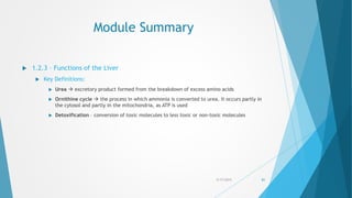 Module Summary
5/17/2015 81
 1.2.3 – Functions of the Liver
 Key Definitions:
 Urea  excretory product formed from the breakdown of excess amino acids
 Ornithine cycle  the process in which ammonia is converted to urea. It occurs partly in
the cytosol and partly in the mitochondria, as ATP is used
 Detoxification – conversion of toxic molecules to less toxic or non-toxic molecules
 