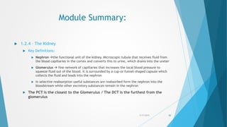 Module Summary:
 1.2.4 – The Kidney
 Key Definitions:
 Nephron the functional unit of the kidney. Microscopic tubule that receives fluid from
the blood capillaries in the cortex and converts this to urine, which drains into the ureter
 Glomerulus  fine network of capillaries that increases the local blood pressure to
squeeze fluid out of the blood. It is surrounded by a cup-or funnel-shaped capsule which
collects the fluid and leads into the nephron
 In selective reabsorption useful substances are reabsorbed form the nephron into the
bloodstream while other excretory substances remain in the nephron
 The PCT is the closest to the Glomerulus / The DCT is the furthest from the
glomerulus
5/17/2015 82
 