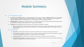 Module Summary:
 1.2.5 – Formation of Urine
 All organs have afferent vessels – they bring blood into the organ. Similarly, efferent vessels carry blood away
from the organ. In a glomerulus the efferent vessels is an arteriole – which is muscular and can constrict to
raise the blood pressure in the glomerulus. In most organs a venule carries blood away
 Ultrafiltration is filtration at a molecular level – as in the glomerulus where large molecules and cells are left
in the blood and smaller molecules pass into the Bowman’s capsule
 Podocytes are specialized cells that make up the lining of the Bowman’s capsule
 TIP: the endothelium of the capillary and the epithelium of Bowman’s capsule contains gaps or pores. These two
layers of cells do little to filter out larger molecules. IT is the basement membrane that is actually involved in
ultrafiltration
 Key Definitions:
 Microvilli are microscopic folds of the cell surface membrane that increase the surface area of the cell
 Co-transporter proteins are proteins in the cell surface membrane that allow the facilitated diffusion of simple
ions to be accompanied by transport of a larger molecule such as glucose
 Facilitated diffusion is diffusion that is enhanced by the action of proteins in the cell membrane
 Sodium-Potassium pumps are special proteins in the cell surface membrane that actively transports sodium and
potassium ions against their concentration gradient
5/17/2015 83
 