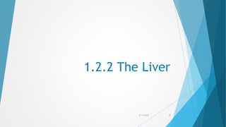 1.2.2 The Liver
5/17/2015 9
 