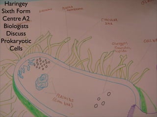 Haringey
Sixth Form
Centre A2
 Biologists
  Discuss
Prokaryotic
   Cells
 