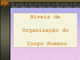 Níveis de
Organização do
Corpo Humano

 