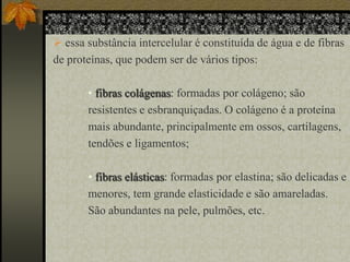  essa substância intercelular é constituída de água e de fibras
de proteínas, que podem ser de vários tipos:

• fibras colágenas: formadas por colágeno; são
resistentes e esbranquiçadas. O colágeno é a proteína
mais abundante, principalmente em ossos, cartilagens,
tendões e ligamentos;
• fibras elásticas: formadas por elastina; são delicadas e
menores, tem grande elasticidade e são amareladas.
São abundantes na pele, pulmões, etc.

 