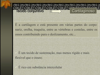 Tecido conjuntivo

Cartilaginoso

É a cartilagem e está presente em várias partes do corpo:
nariz, orelha, traquéia, entre as vértebras e costelas, entre os
ossos contribuindo para o deslizamento, etc...

 É um tecido de sustentação, mas menos rígido e mais
flexível que o ósseo;
 É rico em substância intercelular

 
