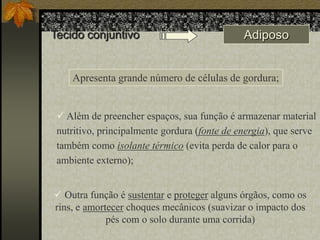 Tecido conjuntivo

Adiposo

Apresenta grande número de células de gordura;
 Além de preencher espaços, sua função é armazenar material
nutritivo, principalmente gordura (fonte de energia), que serve
também como isolante térmico (evita perda de calor para o
ambiente externo);
 Outra função é sustentar e proteger alguns órgãos, como os
rins, e amortecer choques mecânicos (suavizar o impacto dos
pés com o solo durante uma corrida)

 