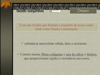 Tecido conjuntivo

Ósseo

É um dos tecidos que formam o esqueleto de nosso corpo,
tendo como função a sustentação.

 substância intercelular sólida, dura e resistente.
 Contém muitas fibras colágenas e sais de cálcio e fósforo,
que proporcionam rigidez e resistência aos ossos.

 