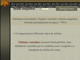 Tecido conjuntivo

Sanguíneo

Substância intercelular é líquida e constitui o plasma sanguíneo,
formado principalmente de água (+ 90%)

 O sangue possui diferentes tipos de células:
Glóbulos vermelhos: possuem hemoglobina, uma
substância vermelha que se combina com o oxigênio e o
transporta às células do corpo.

 