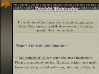Formado por células longas, chamadas fibras musculares.
Essas fibras tem a capacidade de se contrair e distender,
permitindo a movimentação.

Existem 3 tipos de tecido muscular:

 Não-estriado ou liso: tem contração lenta e involuntária.
Fibras apenas com um núcleo. Não possui estrias transversais.
Encontrado nas paredes do estômago, intestinos, esôfago, etc.

 
