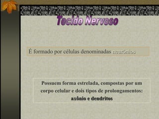 É formado por células denominadas neurônios

Possuem forma estrelada, compostas por um
corpo celular e dois tipos de prolongamentos:
axônio e dendritos

 