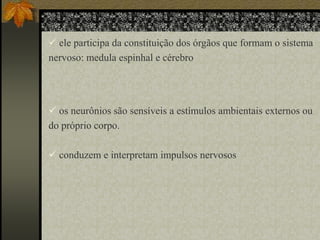  ele participa da constituição dos órgãos que formam o sistema
nervoso: medula espinhal e cérebro

 os neurônios são sensíveis a estímulos ambientais externos ou
do próprio corpo.
 conduzem e interpretam impulsos nervosos

 