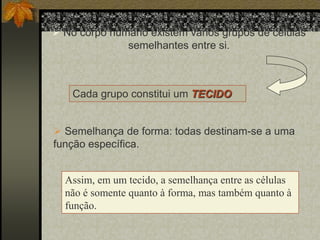  No corpo humano existem vários grupos de células
semelhantes entre si.

Cada grupo constitui um TECIDO

 Semelhança de forma: todas destinam-se a uma
função específica.
Assim, em um tecido, a semelhança entre as células
não é somente quanto à forma, mas também quanto à
função.

 