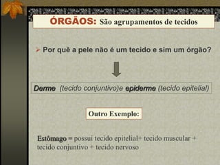 ÓRGÃOS: São agrupamentos de tecidos
 Por quê a pele não é um tecido e sim um órgão?

Derme (tecido conjuntivo)e epiderme (tecido epitelial)

Outro Exemplo:
Estômago = possui tecido epitelial+ tecido muscular +
tecido conjuntivo + tecido nervoso

 