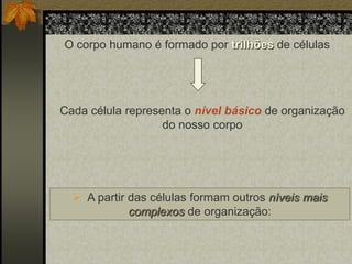 O corpo humano é formado por trilhões de células

Cada célula representa o nível básico de organização
do nosso corpo

 A partir das células formam outros níveis mais
complexos de organização:

 