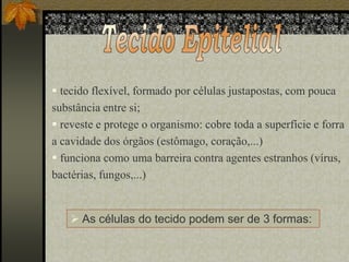  tecido flexível, formado por células justapostas, com pouca
substância entre si;
 reveste e protege o organismo: cobre toda a superfície e forra
a cavidade dos órgãos (estômago, coração,...)
 funciona como uma barreira contra agentes estranhos (vírus,
bactérias, fungos,...)

 As células do tecido podem ser de 3 formas:

 